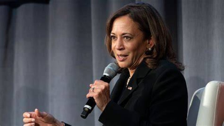 Kamala Harris ratings continue to plummet as 2024 presidential election