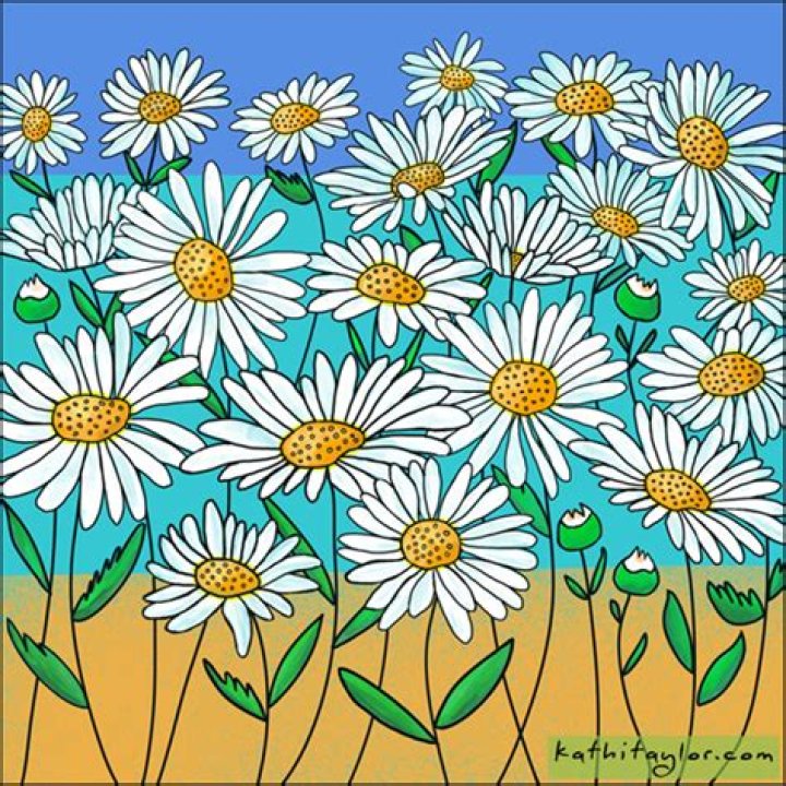 Kathi Taylor Artist, Surface Designer, Musician