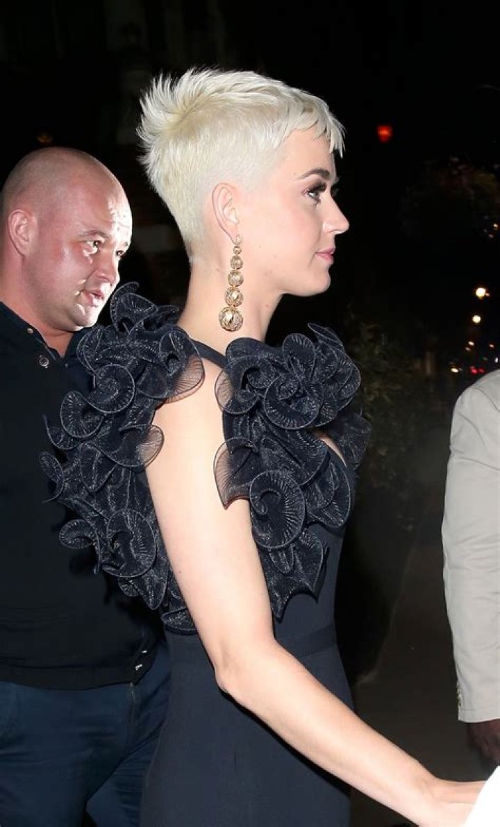 Katy Perry Boobs Hot Celebs Home
