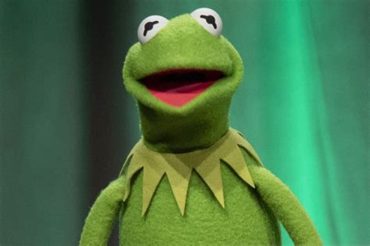 Kermit the Frog as Green in Characters By Color, Sort With Me!