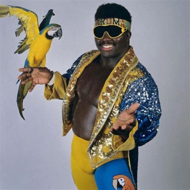 Koko B. Ware and Frankie