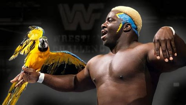 Koko B Ware