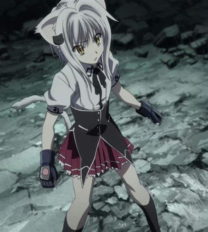 Koneko Toujou Wiki Anime Amino