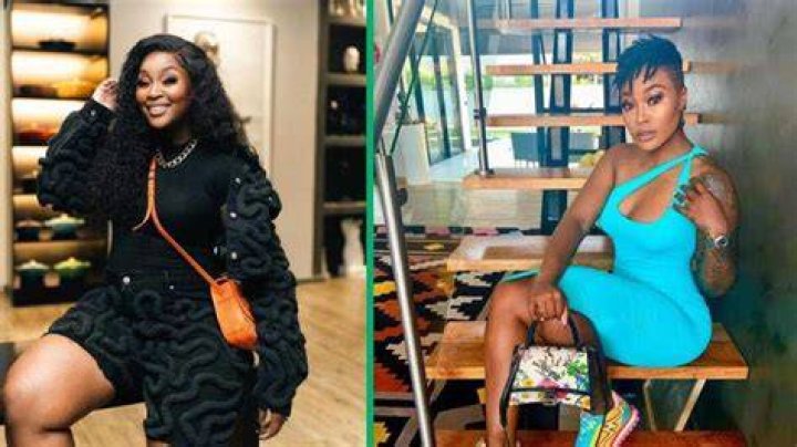 Lamiez Holworthy Shows Off Banging New Body in Zebra Print 2-Piece Swimsuit