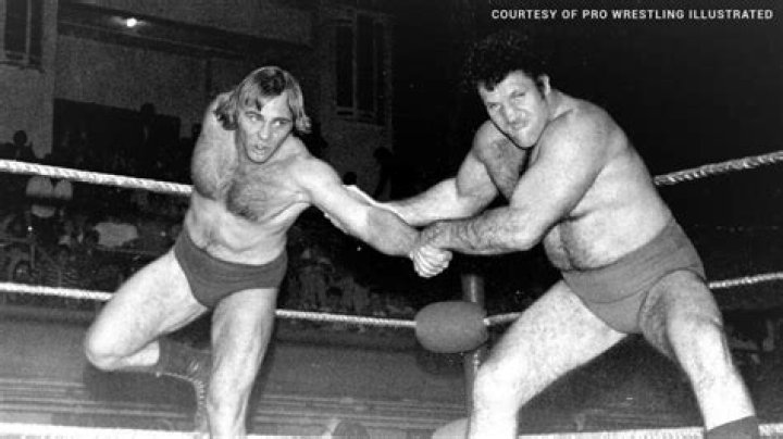 Larry Zbyszko vs. Bruno Sammartino