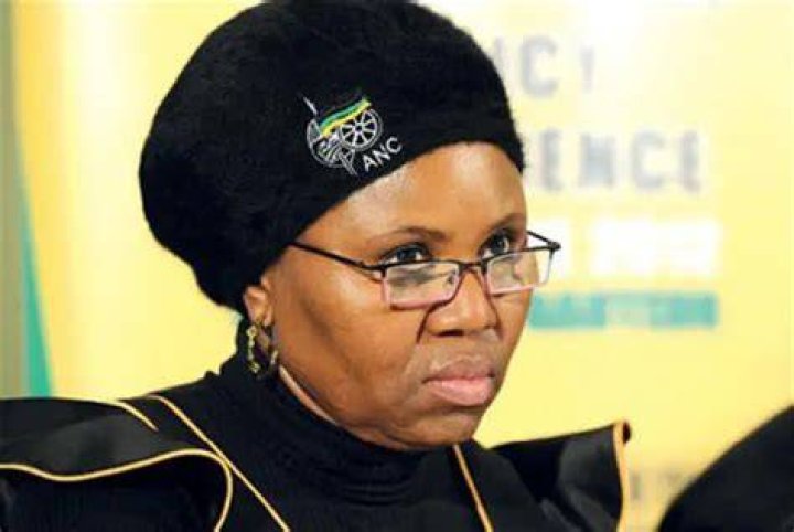 Lindiwe Zulu biography Lindiwe Zulu biography