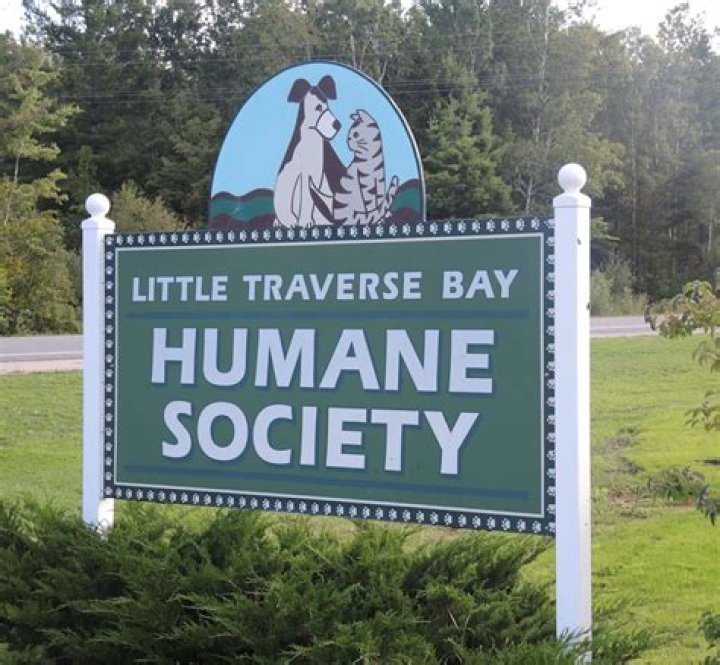 Little Traverse Bay Humane Society takes in 40plus dogs rescued from