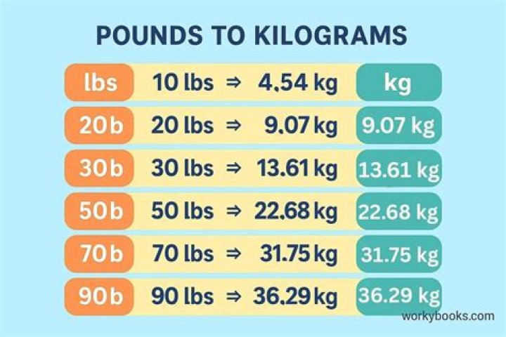 Lizzo&rsquo;s Incredible 50 Pounds Weight Loss Transformation (Before & After