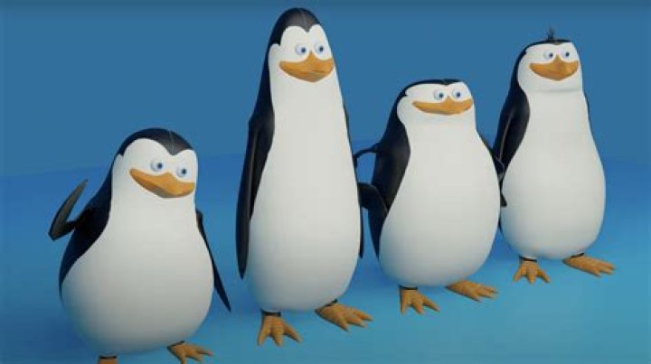 Los Pinguinos Me La Van A Mascar: A Journey Into The Quirky World Of Penguins