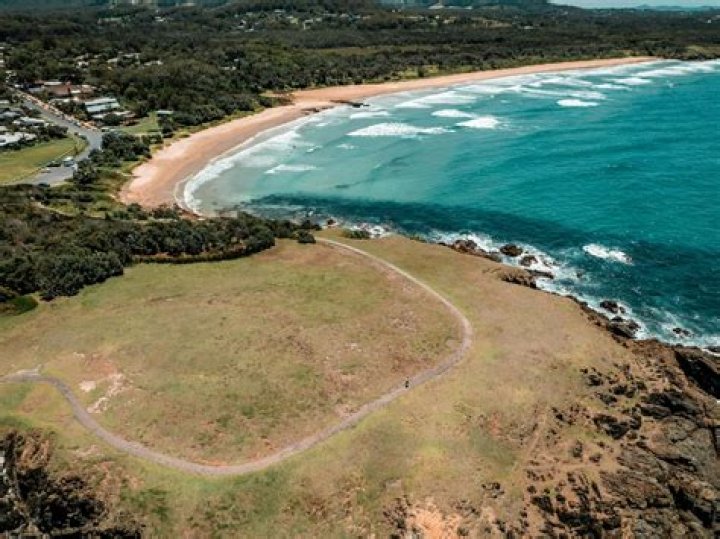 Luperus from Emerald Beach NSW 2456, Australia on November 25, 2023 at