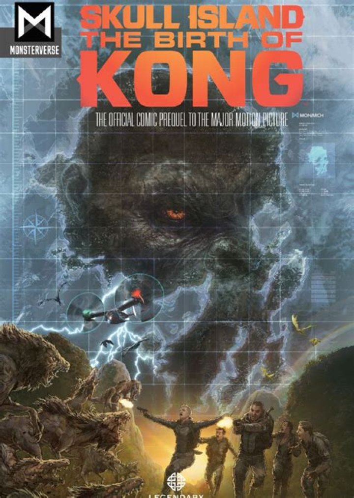 Magma Turtle Fan Casting