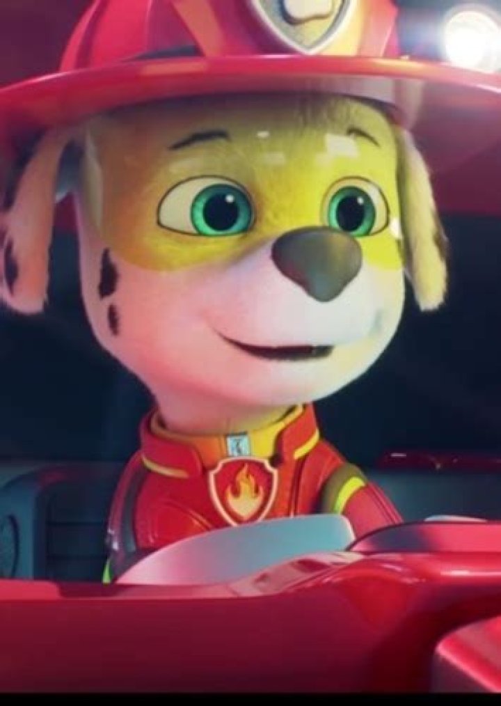 Marshall (PAW Patrol) Fan Casting