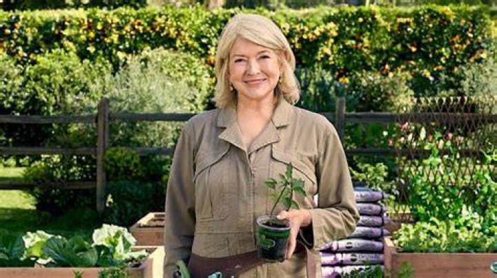 Martha Stewart Soil: Cultivating Beauty And Life