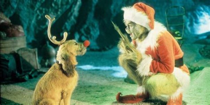 Max stares at the Grinch in a santa costume