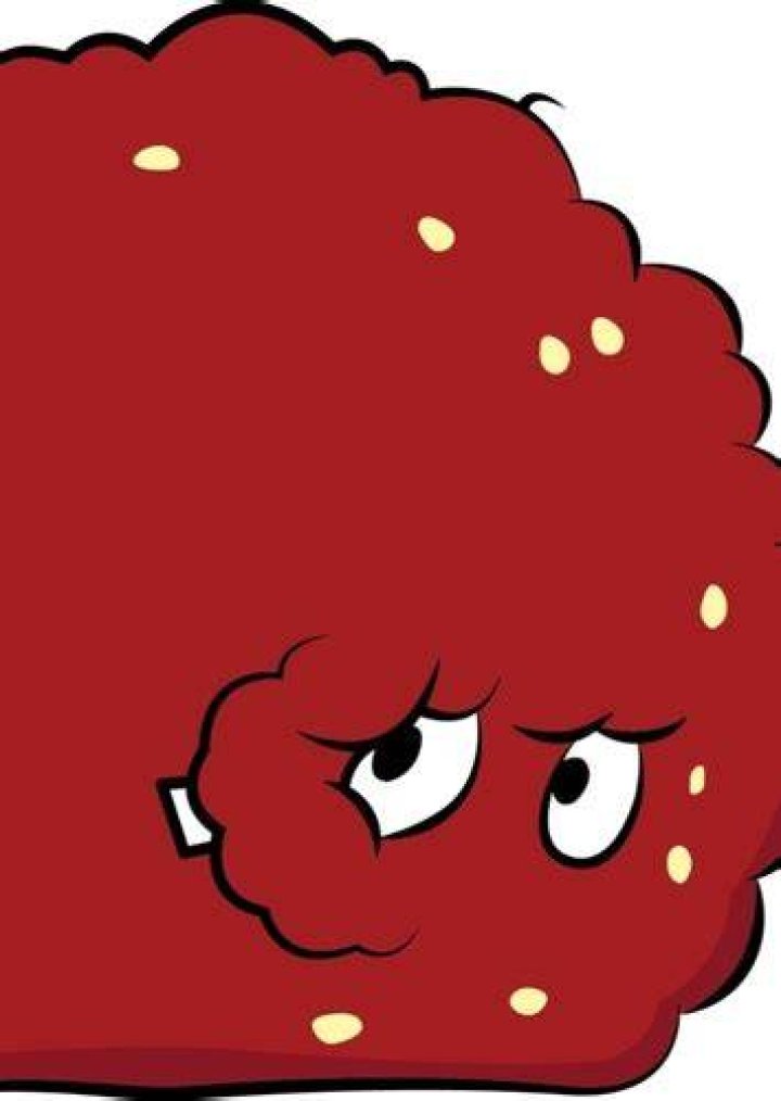 Meatwad Fan Casting for Aqua Teen Hunger Force (Regular Voice Actors) | myCast