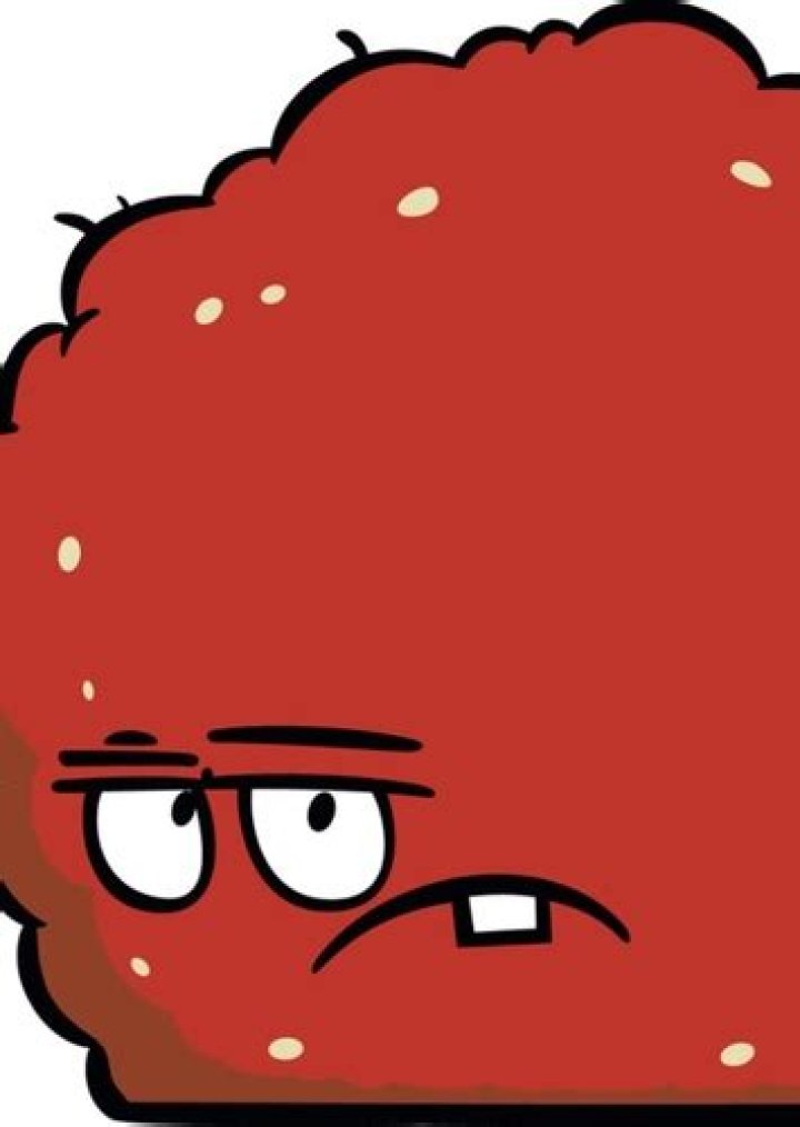 Meatwad Fan Casting