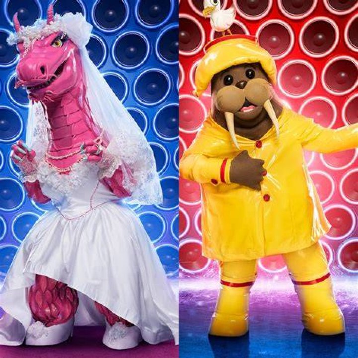 Meet the Season 8 Contestants for The Masked Singer