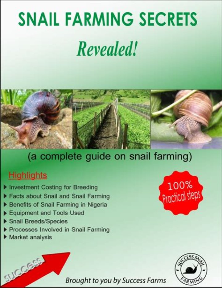 Meet the Snail Farmer Ric Brewer Escargot World