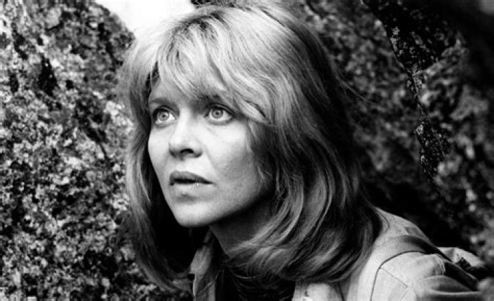 Melinda Dillon, Who Appeared in &lsquo;A Christmas Story,&lsquo; &lsquo;Close Encounters