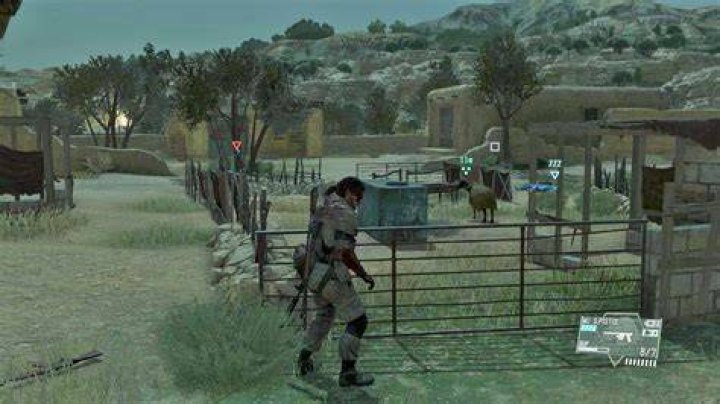 MGS 5 lost sheep