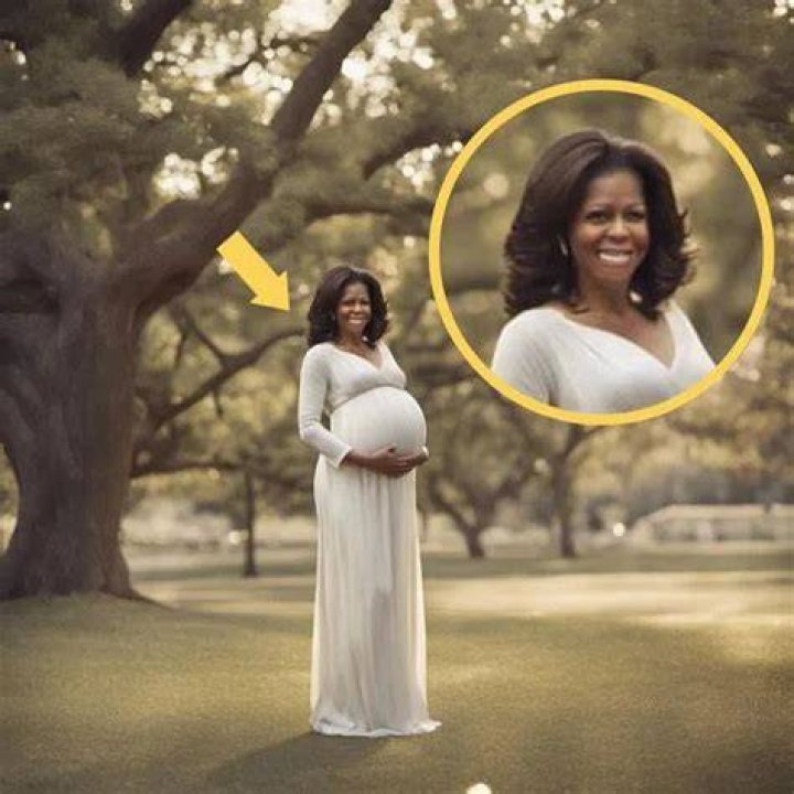 Michelle obama during pregnancy on Craiyon