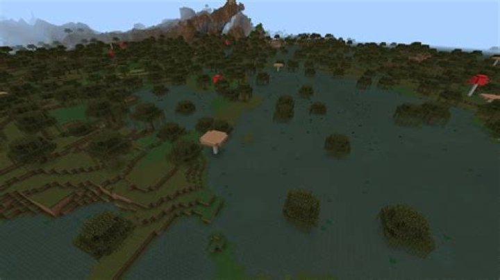 Minecraft Secluded Swamp 1.20 Java Edition World Seed