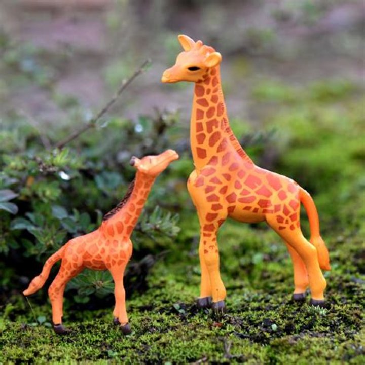 Miniature Giraffe! MarLa Sink Druzgal