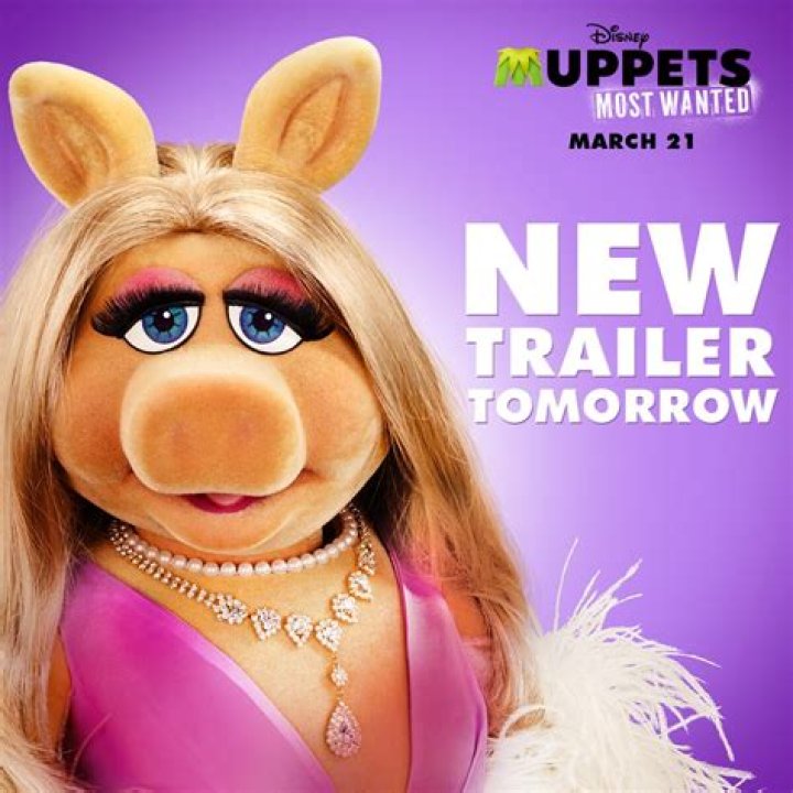 Miss Poogy Fan Casting