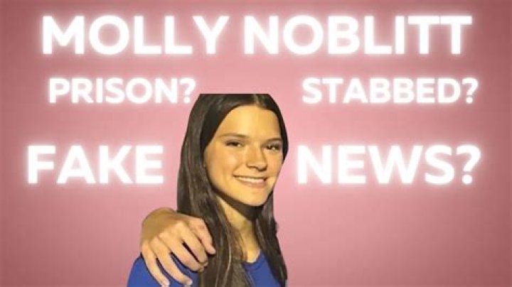 Molly Noblitt Texts: A Deep Dive Into The Controversy And Context