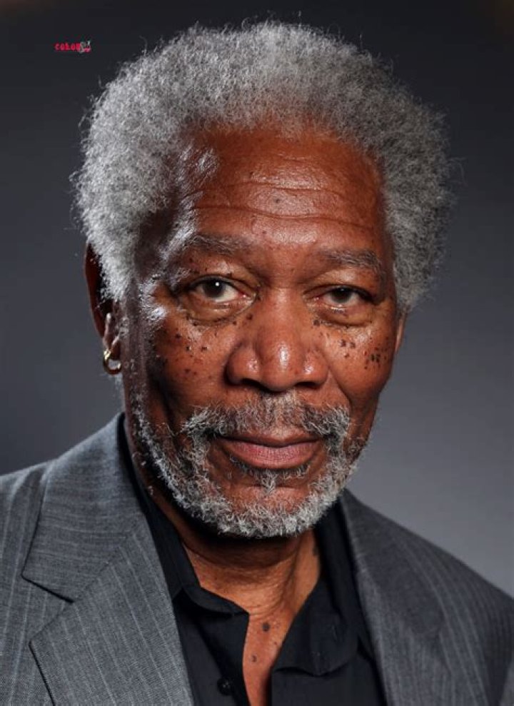Morgan Freeman Picture