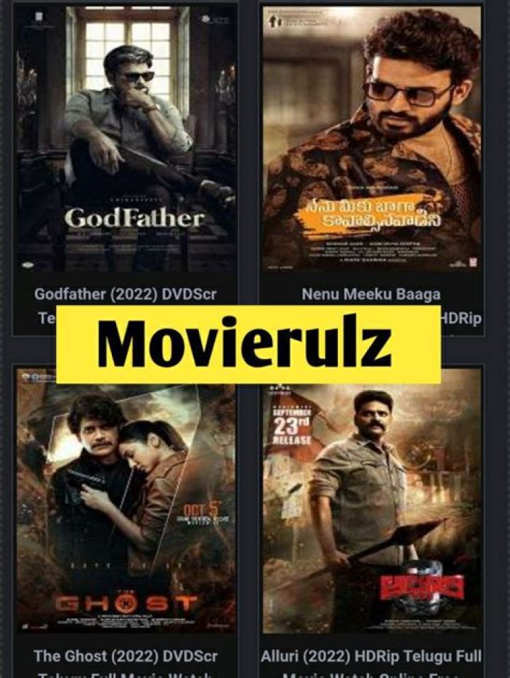 Movierulz 2024 Downlaod Tamil, Telugu, Bollywood & Hollywood Movies