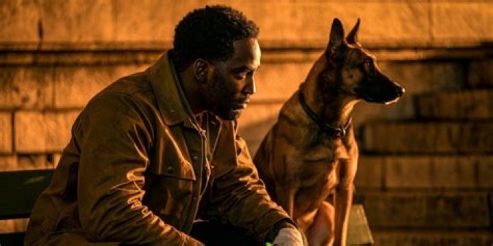 Mr Nobody and his dog sit on a bench in John Wick: Chapter 4