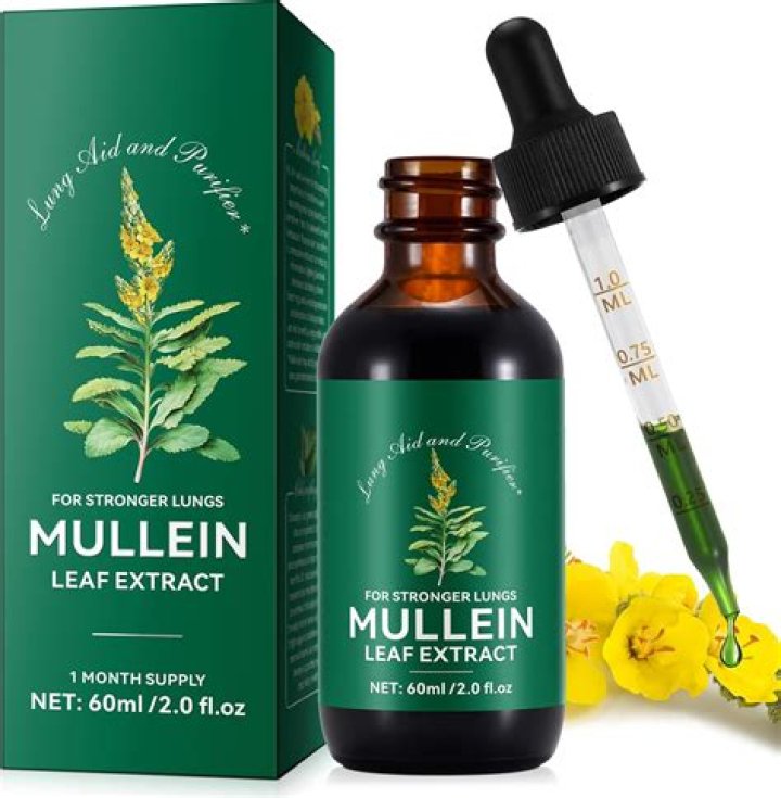 Muelin Fan Casting for The Adventures of Muelin and Perlita | myCast