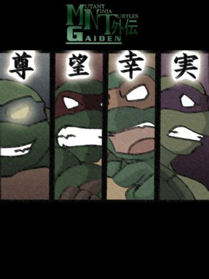 Mutant Ninja Turtles Gaiden