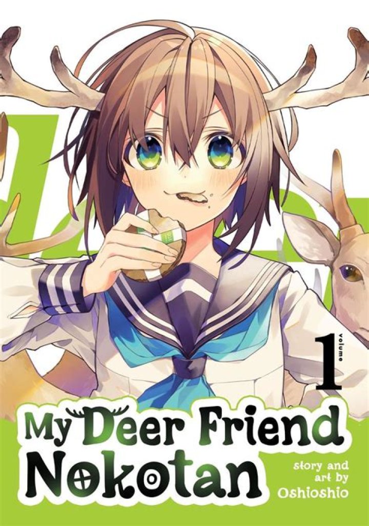 My Deer Friend Nokotan Vol. 4 by Oshioshio Penguin Books New Zealand