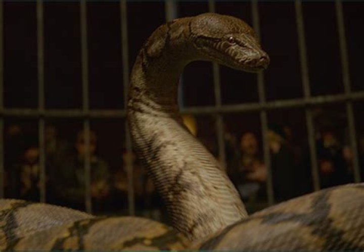 Nagini