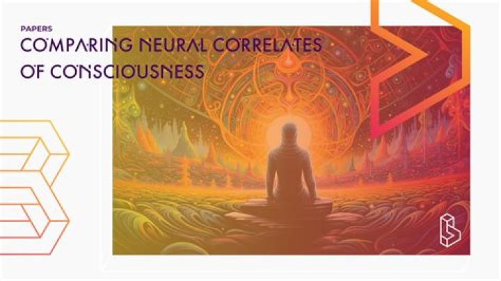 Neural correlates of consciousness progress and problems