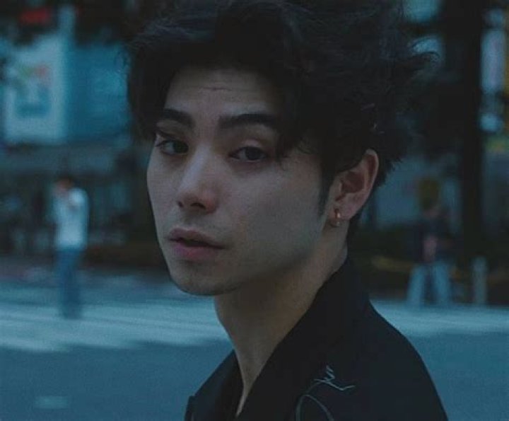 Nijiro Murakami as Beast Boy in Live Action Justice League (TV series) 