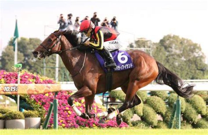 “Not Used to Crying”: Jockey Moved to Tears As Equinox’s Remarkable Achievement
As JRA Horse of the Year Defies Norms Even in Retirement