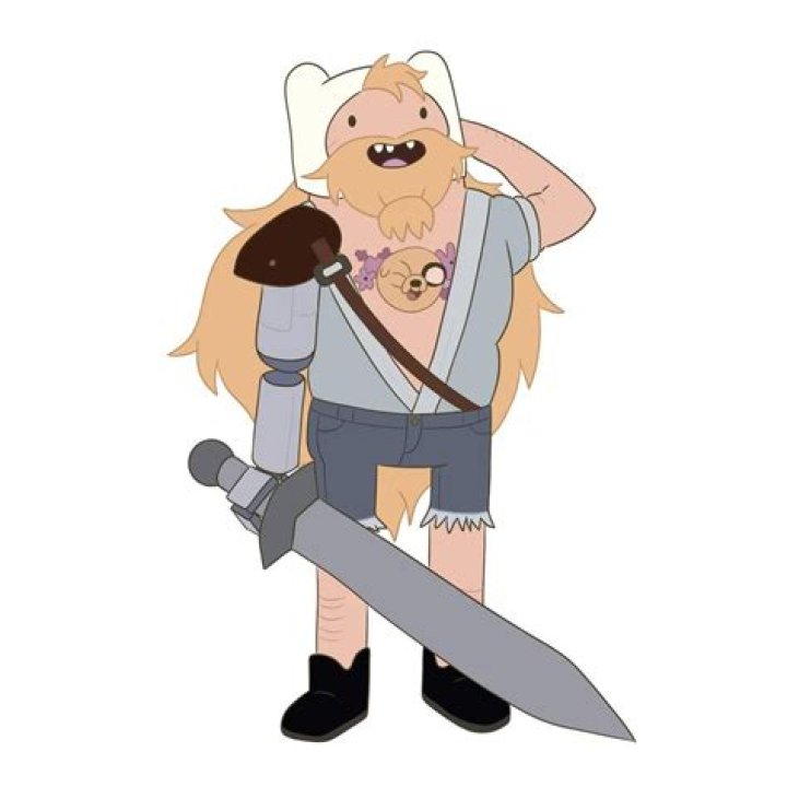 Old Finn Cropped