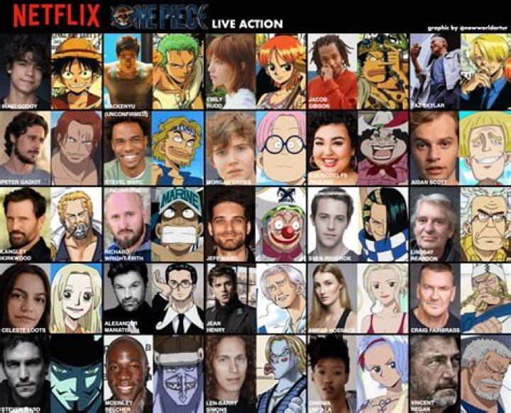 One Piece Cast and Character Guide
