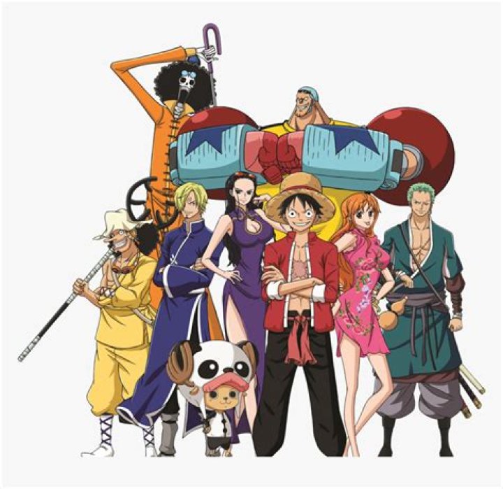 One Piece Straw Hat Crew Timeskip