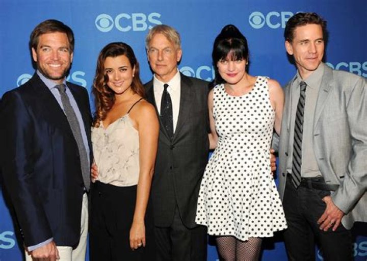 Original cast of season 15 of CSI: Crime Scene Investigation - 15 Seasons