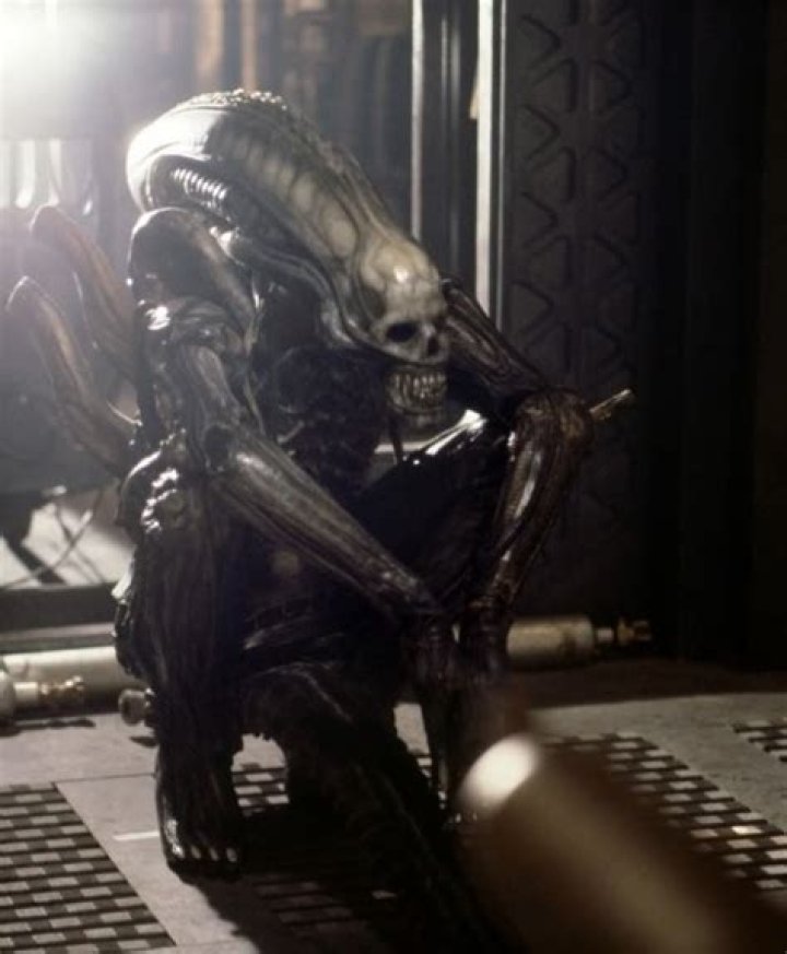 Original xenomorph with human skull from Alien 1979