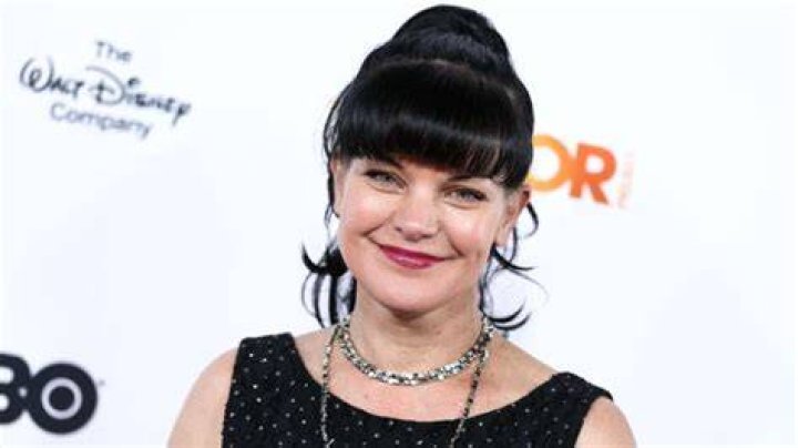 Pauley Perrette Net Worth: A Comprehensive Look At Her Career And Wealth