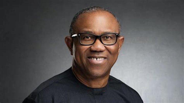 Peter Obi Net Worth 2024 And Achievements Glusea
