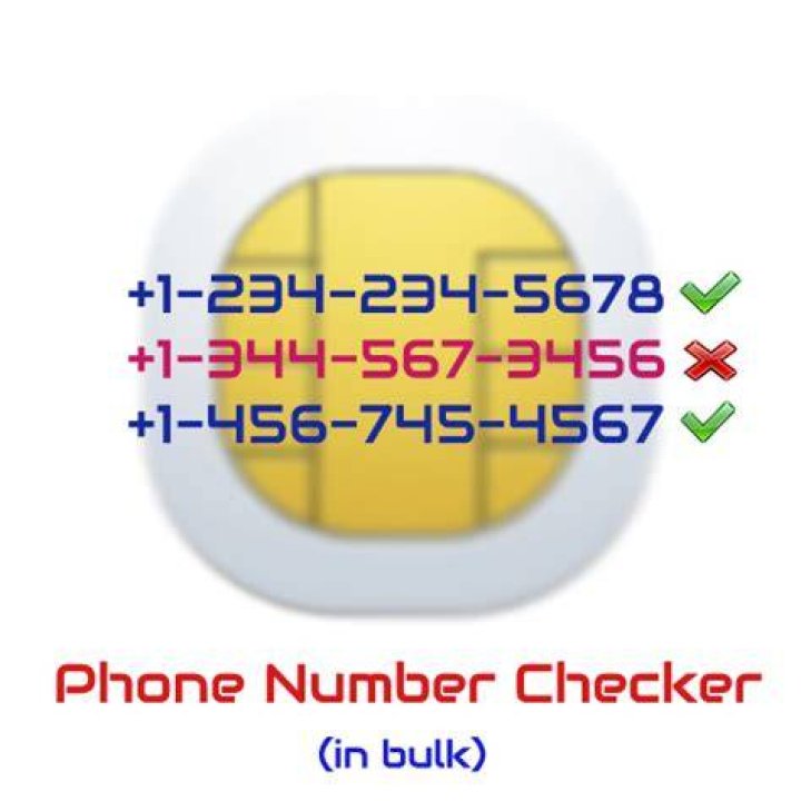 phone number checker phone number checker