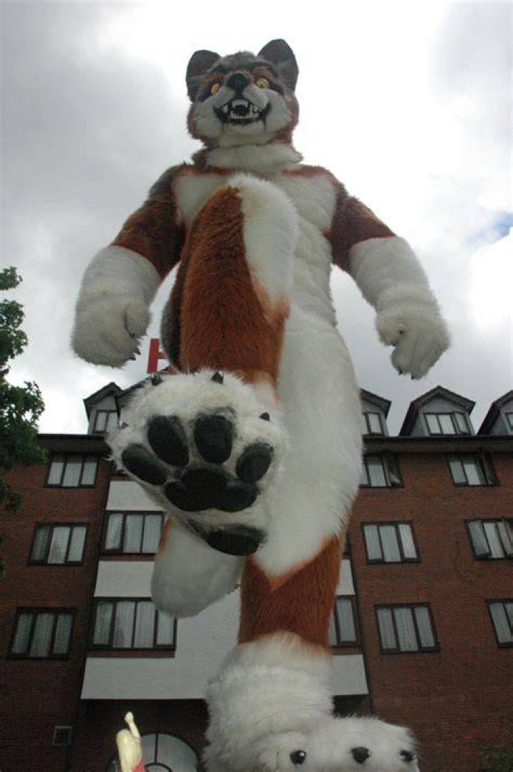 Photos of Rogue Megawolf Roar on myCast