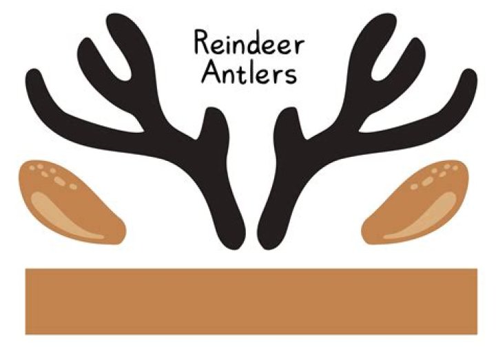 Pin von Antlers on the Creek Bed & Bre auf Berners Hunde, Berner