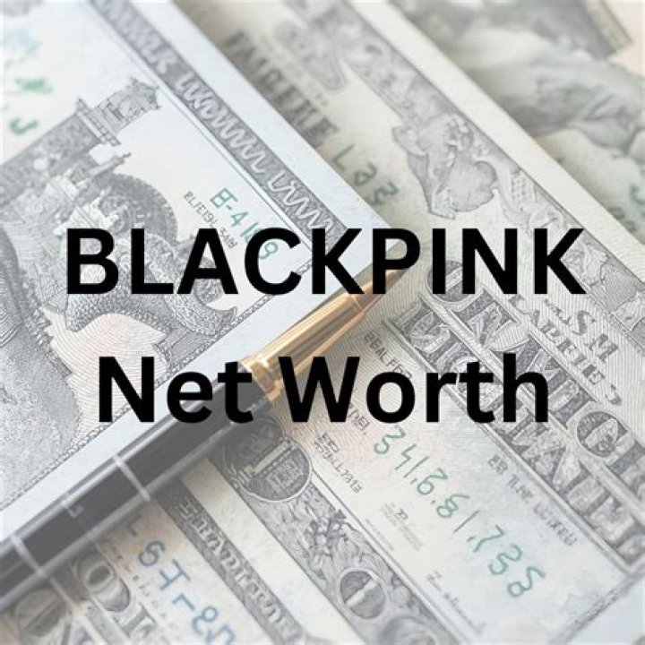 Pink Net Worth Plenty Of Cheddar